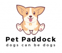Pet Paddock